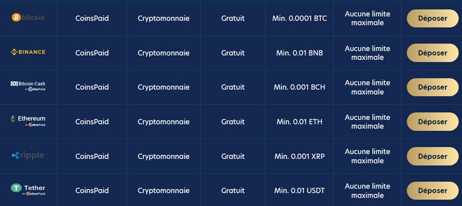 Cryptomonnaies Dans les Casinos en Ligne